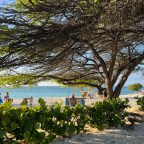 2021 Winter Trip to Aruba – the One Happy Island